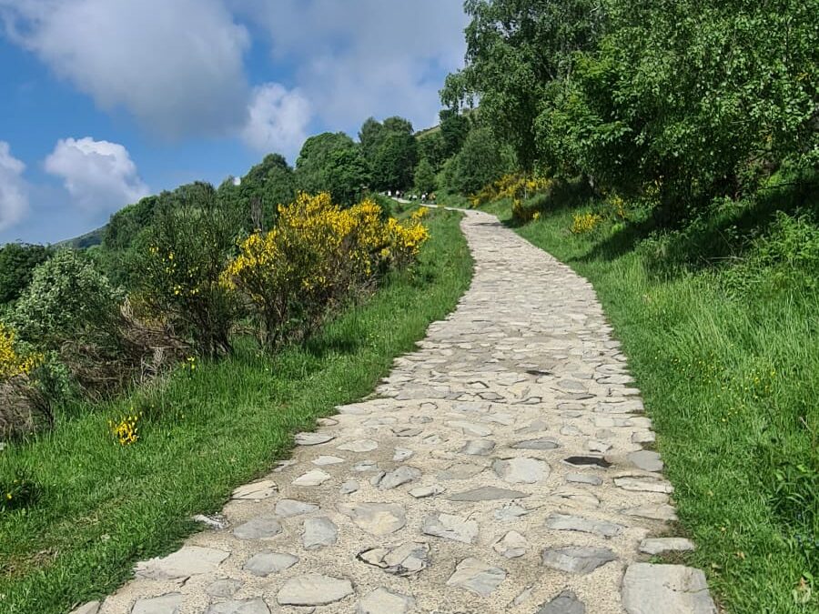 5 Maggio 2024 | Colma di Sormano – Monte San Primo